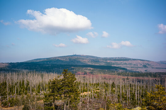 Traumhafte Aussicht vom Achtermann im Harz