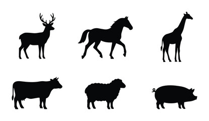 Fototapeta premium 6 animal vector icons on white background