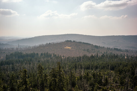 Weitblick &uuml;ber W&auml;lder und Berge im Harz