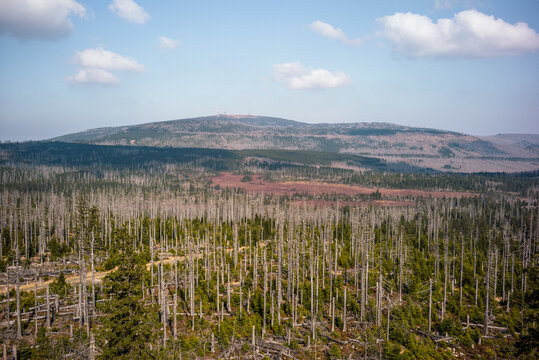 Gipfeltour mit Panorama &uuml;ber den Harz
