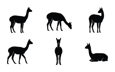 vector llama icons set on white background © Nabila