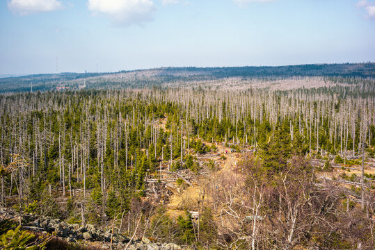 Outdoor-Abenteuer auf dem Achtermann