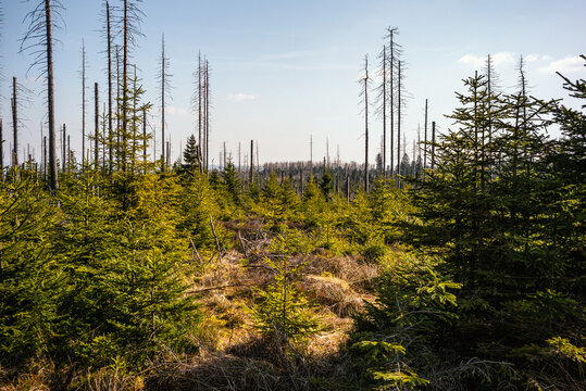 Landschaft voller Ruhe und Weitblick