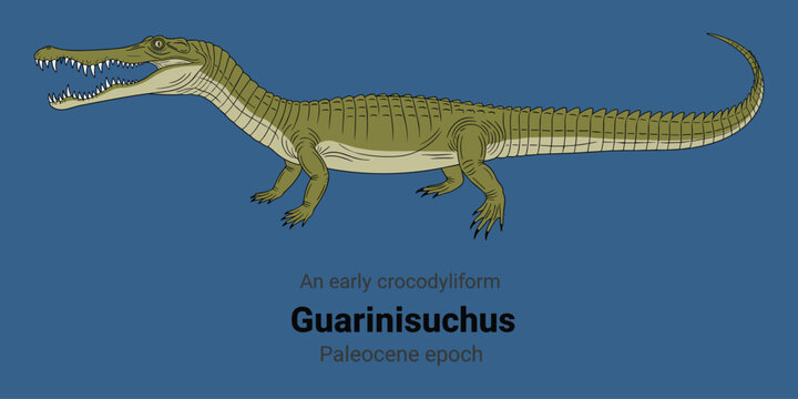 Guarinisuchus, early crocodyliform, Paleocene epoch.