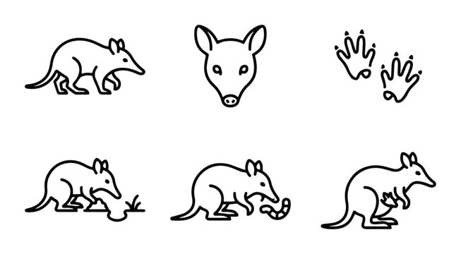 Bilby Icon Set, Australian Marsupial Vector Graphics, Wildlife Line Art Collection, Cute Animal Illustrations for Nature Projects