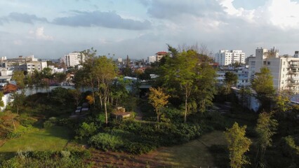 Obraz premium Lush greenery surrounds a quiet urban park