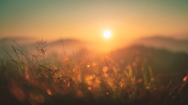 Beautiful wild grass field at sunset with soft mountain background