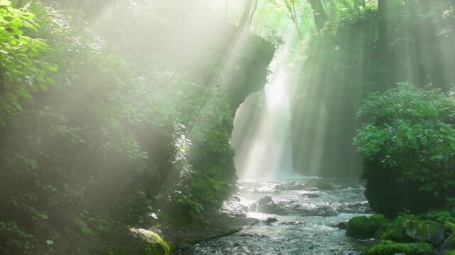 長野県軽井沢町の竜返しの滝、夏の朝に森の渓流へ光芒が差し込む幻想的な滝風景