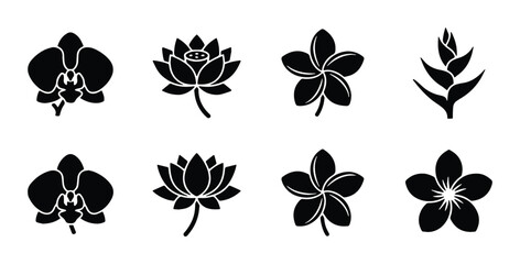 vector set of black orchid lotus plumeria and frangipani silhouettes on a transparent background © Ehsan