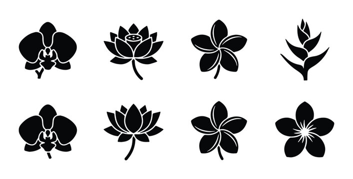 vector set of black orchid lotus plumeria and frangipani silhouettes on a transparent background