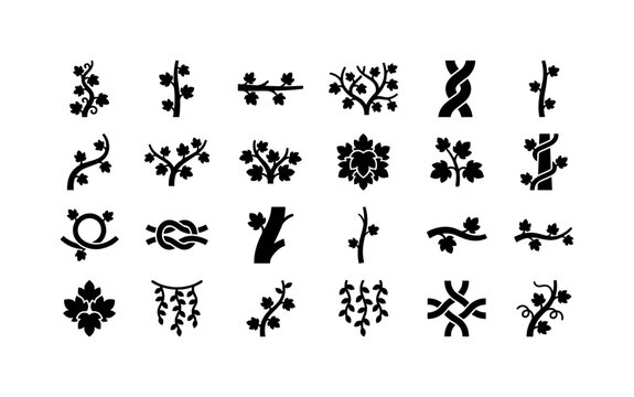 Grape vine structures like stems trellis growth patterns and climbing forms of vineyard plants clean solid filled icon set showing