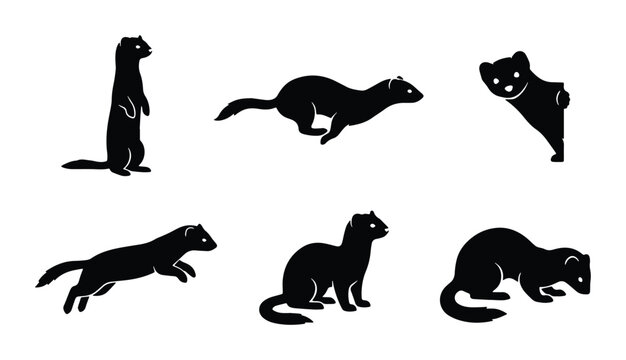 Ferret silhouette vector icons set, black weasel animal shapes in various poses, minimalist mink and polecat silhouettes for logo design