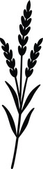 Fototapeta premium Black silhouette of a plant with multiple branches and leaves