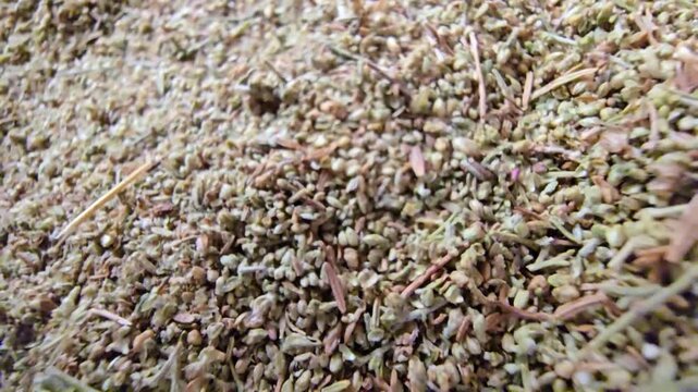 Macro video of dried Artemisia (Wormwood / Shih) in a wooden bowl. A popular medicinal herb from the Middle East used in traditional remedies for managing blood sugar levels and digestive health.