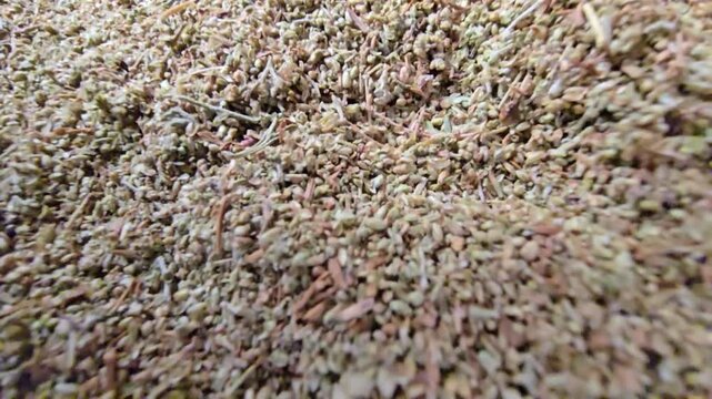 Macro video of dried Artemisia (Wormwood / Shih) in a wooden bowl. A popular medicinal herb from the Middle East used in traditional remedies for managing blood sugar levels and digestive health.