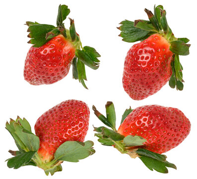 Large ripe strawberry berry with green sepals and leaves on an isolated background