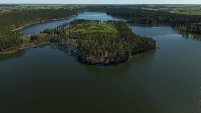 Peninsula Reforestation &ndash; Parallax Left Aerial View of Regrowing Forest Core