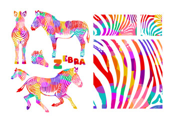 Obraz premium colored zebra set. Hand drawn. Not AI, vector illustration.