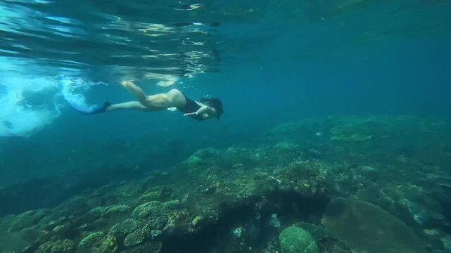 Bold swim through reef. Majestic free dive across colorful coral seabed currents. Graceful underwater ascent with vigorous fin movements amid vivid reef scenery and bubbles,Bali,Indonesia