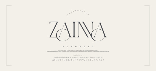 ZAINA Luxury wedding alphabet letters font with tails. Typography elegant classic serif fonts and number decorative vintage retro concept for logo branding. vector illustration © Studio_type