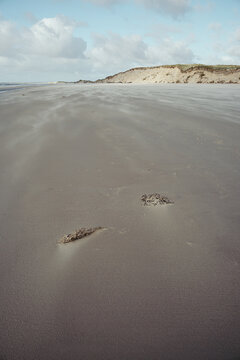 Herbsturlaub am weiten Strand von Skallingen
