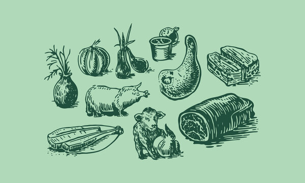 Rustic hand-drawn illustration of farm produce animals related items