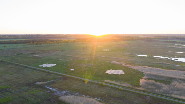 Aerial view of the LOFAR superterp radio telescope antennas situated in green fields under a golden sunset Buinen, Drenthe, Netherlands.