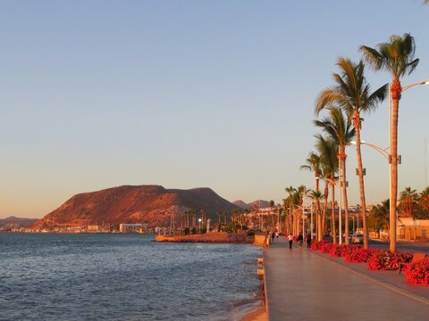 the promenade walk by the sea- Malecon- in La Paz, Lower California (Baja California), Mexico