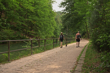 Obraz premium Back view of a couple hiking with a small dog on a stone path along a tranquil green river in a lush summer forest. Active outdoor lifestyle and nature recreation.