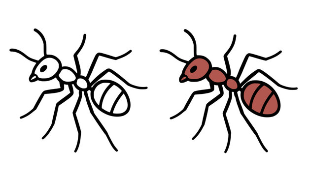 Ant icon illustration, in line art and colored design, for coloring page
