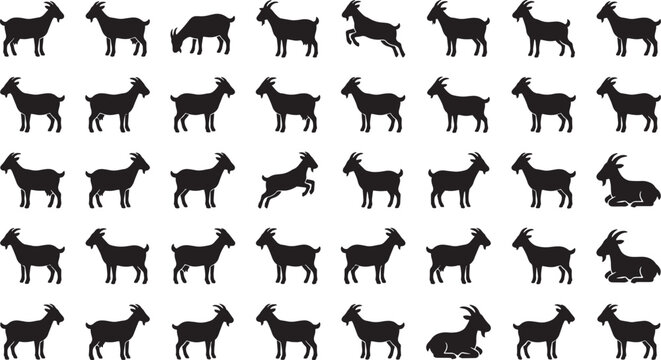 Black silhouette collection of goats in various standing sitting jumping and walking postures isolated on white background for farm animal related design projects set.