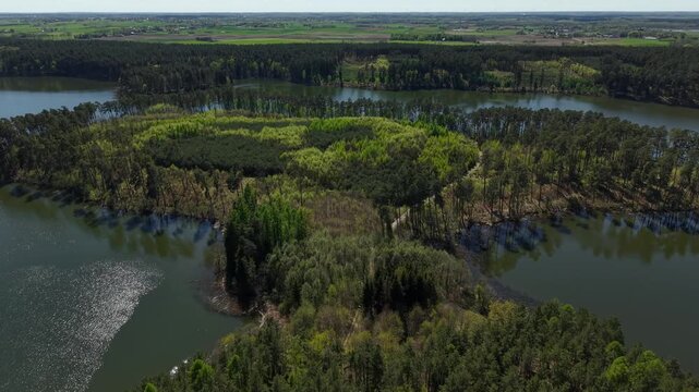 Peninsula Reforestation &ndash; Parallax Left Aerial View of Land Connection Zone