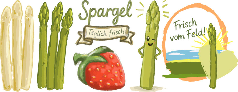 A series of asparagus, white and green. Flat,vintage style. Funny green asparagus.German "Spargel" (asparagus), "frisch vom Feld" (fresh from the fiel). &bdquo;T&auml;glich frisch&ldquo; ( fresh every day). Hand drawn