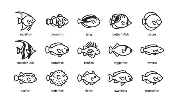 Fish species icons showing labeled reef fish types on white background
