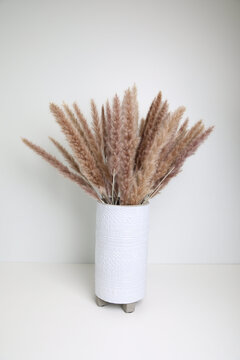 Dried ornamental reeds texture, bundle of fluffy natural plumes for floral arrangements and minimalist home decor