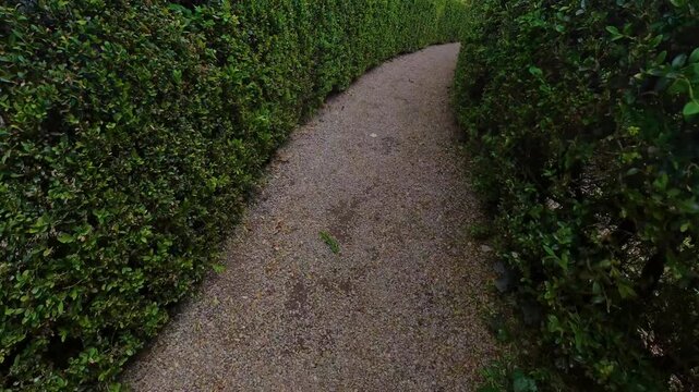 gravel garden path between ped boxwood hedges Albi French town historic
