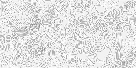 White Topographic Map Pattern Background, Minimalist Abstract Contour Line Texture, Geographic Elevation Grid Vector © Creative Lis