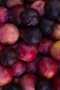 overhead shot of a mix of red and purple plums