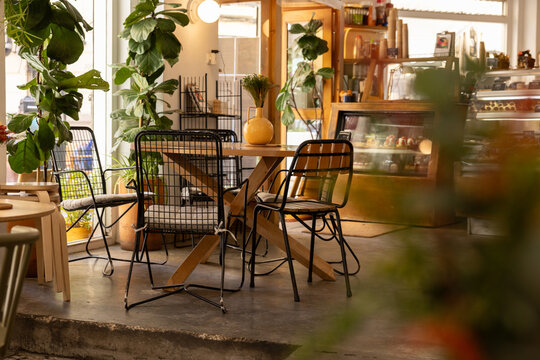 interior of trendy city cafe with natural light, warm wood, and fiddleleaf fig plant and blurry foreground element