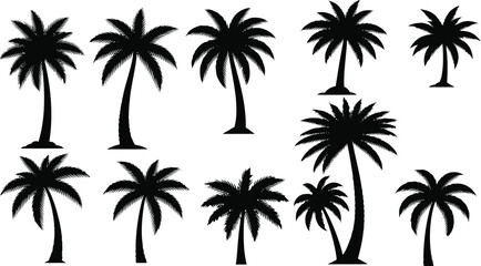 Fototapeta premium Black silhouette icons of tropical palm trees set Vector