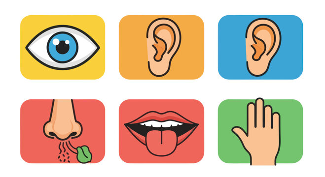 Five Senses Icons: Sight, Hearing, Smell, Taste, Touch - Flat Design