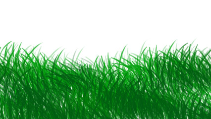 Fototapeta premium Fresh green spring grass isolated on white background depicting a lush natural growth plant for summer garden landscape or environment vector design