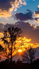 Fototapeta premium Silhouette trees against a vibrant sunset sky, with a sun peeking through the clouds