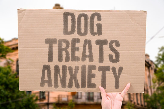 "Dog Treats Anxiety" Companion dog ownership is associated with clinically significant reductions in generalized anxiety disorder symptoms. DOG. COMPANION. ANXIETY. DISORDER. CLINICAL.