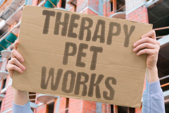 "Therapy Pet Works" Animal-assisted therapeutic interventions produce clinically documented reductions in anxiety and depression severity. THERAPY. ANIMAL. CLINICAL. ANXIETY. DEPRESS.