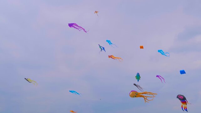Many different colorful kites in the form of marine life are flying in the cloudy sky and swaying in the wind during summer outdoor festival. Childhood, freedom and leisure time concept