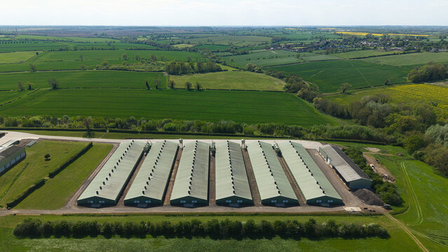 Aerial view of large industrial farm buildings with long green roofs surrounded by lush green agricultural fields and trees under a bright sky in Kettering, England, United Kingdom.