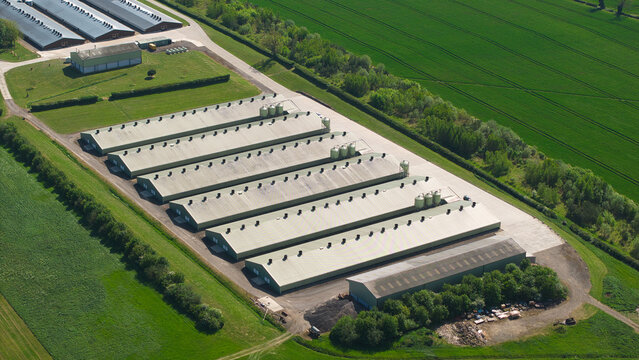 Aerial view of large industrial agricultural sheds and silos surrounded by lush green fields and trees in Kettering, England, United Kingdom.