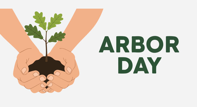 Arbor Day Illustration. Hands Holding Oak Tree Sapling. Flat Vector Design. Environmental Poster.