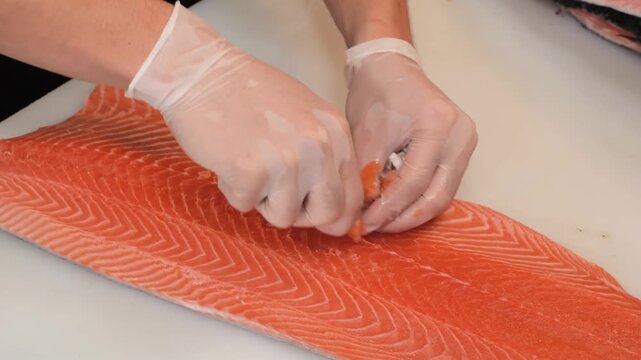 A professional chef, wearing hygienic white disposable gloves, carefully removes pin bones from a large, vibrant orange Atlantic salmon fillet. The high-quality footage captures the intricate process 
